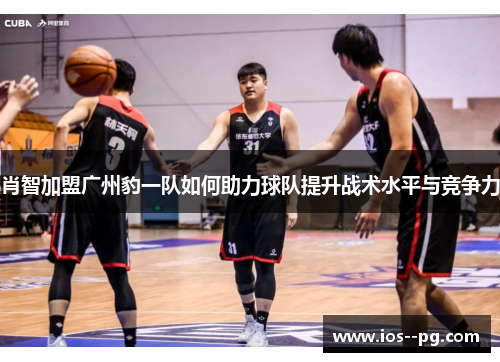 肖智加盟广州豹一队如何助力球队提升战术水平与竞争力