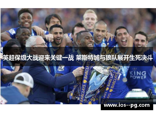 英超保级大战迎来关键一战 莱斯特城与狼队展开生死决斗 英超保级大战迎来关键一战 莱斯特城与狼队展开生死决斗